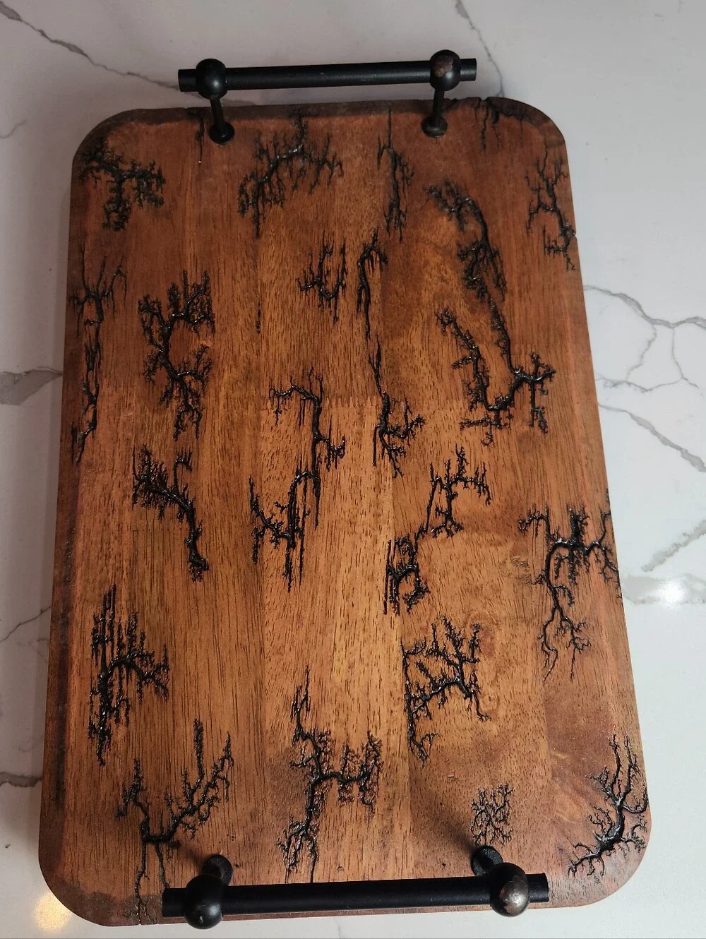 One-of-a-Kind Lichtenberg Fractal Burned Wood Serving Tray ⚡
